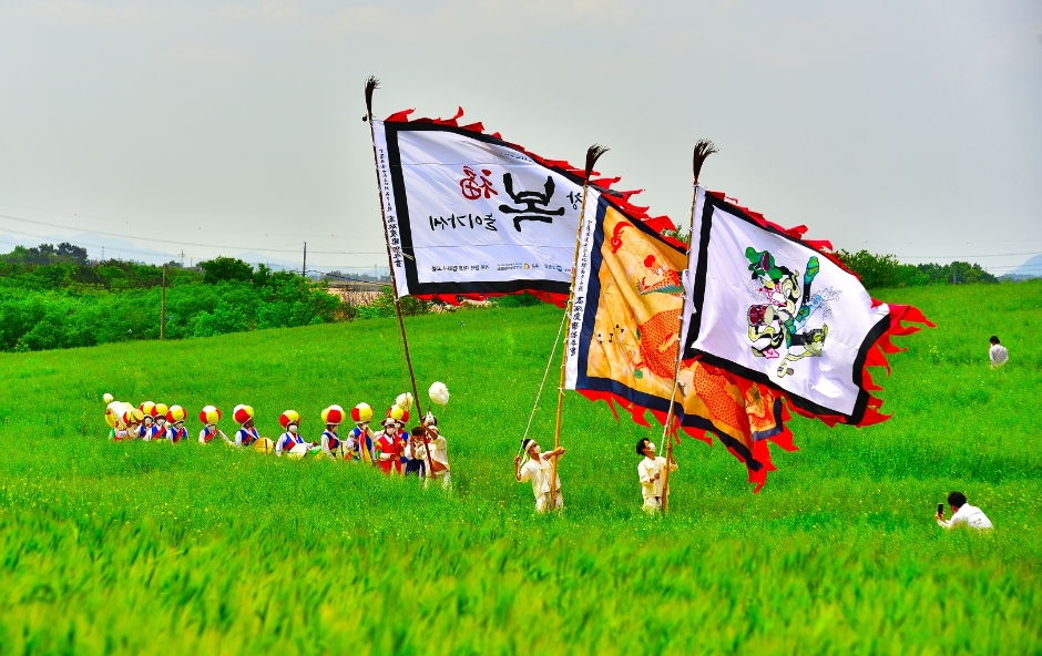 고창 청보리밭 축제를 즐기는 관람객들