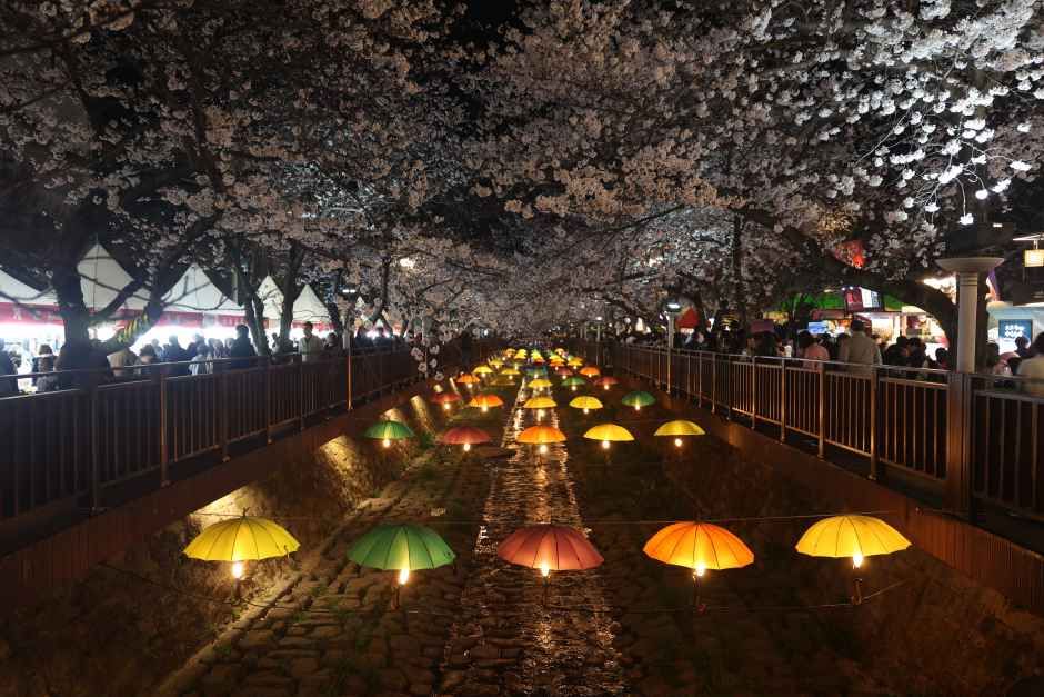 진해군항제 축제 분위기가 가득한 벚꽃 거리
