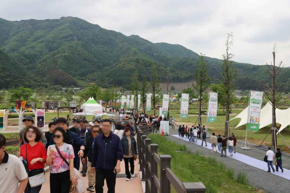 색색의 꽃으로 장식된 정원 풍경